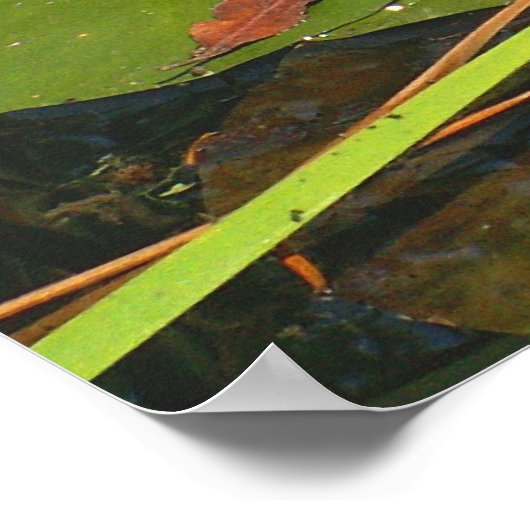 Was ist unter? poster (Ecke)