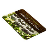 Was ist zum Abendessen? Raccoon Kühlschrank Magnet (Rechte Seite)