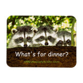 Was ist zum Abendessen? Raccoon Kühlschrank Magnet (Horizontal)