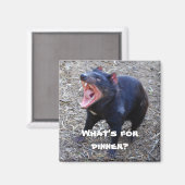 "Was ist zum Abendessen?" Tasmanian Devil Magnet (Vorderseite/Rückseite)