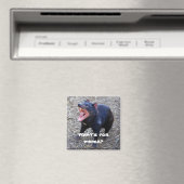 "Was ist zum Abendessen?" Tasmanian Devil Magnet (In Situ (Geschirrspüler))