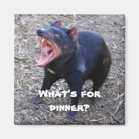 "Was ist zum Abendessen?" Tasmanian Devil Magnet (Vorne)