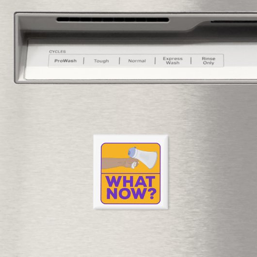 Was jetzt? magnet (In Situ (Geschirrspüler))