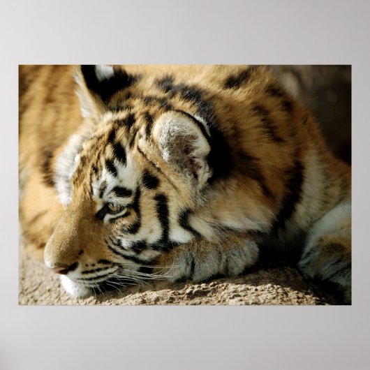 Was kann ich als Nächstes tun? Poster (Vorne)