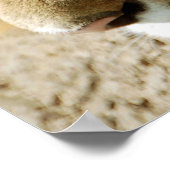 Was kann ich als Nächstes tun? Poster (Ecke)