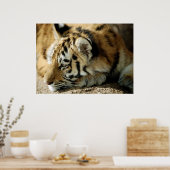 Was kann ich als Nächstes tun? Poster (Küche)