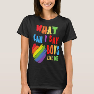 Was kann ich Jungs wie mich sagen, die LGBT Pri T-Shirt