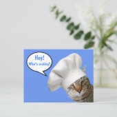Was kocht? Koch Cat Postkarte (Stehend Vorderseite)