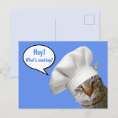Was kocht? Koch Cat Postkarte (Vorne/Hinten)