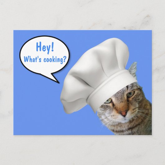 Was kocht? Koch Cat Postkarte (Vorderseite)