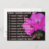 Was Krebs nicht tun kann PinkGeranium Blume Postka Postkarte (Vorne/Hinten)