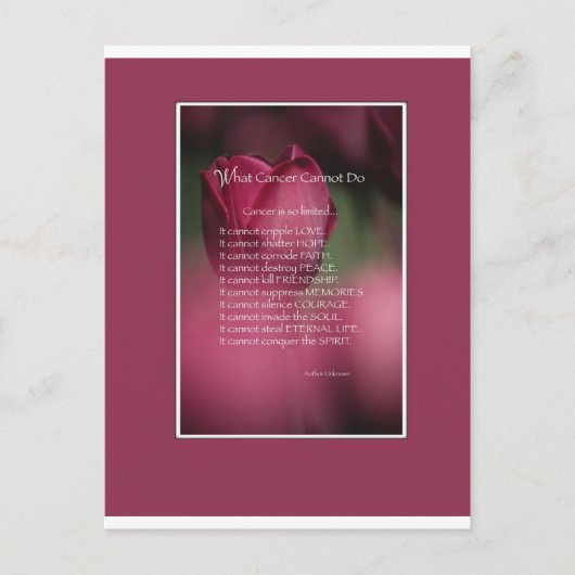 Was Krebs nicht tun kann, Unterstützung und Förder Postkarte (Vorderseite)