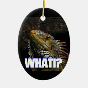 Was!? Leguan Keramik Ornament