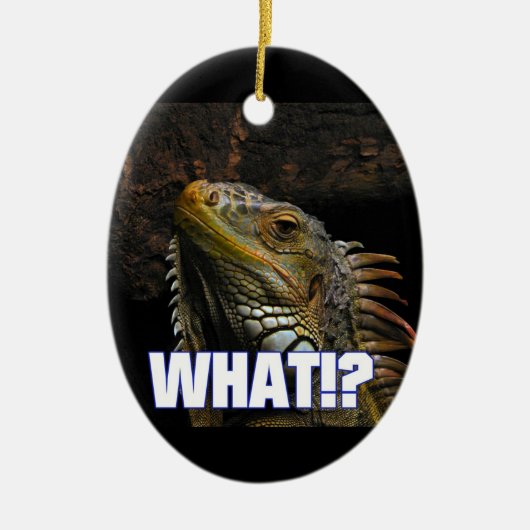 Was!? Leguan Keramik Ornament (Vorne)
