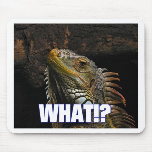 Was!? Leguan Mousepad (Vorne)