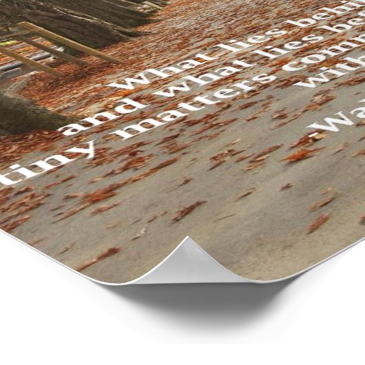 "Was liegt in uns?" Poster (Ecke)