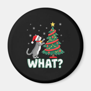 Was Lustige Katze Schiebt Weihnachtsbaum Über Katz Magnet