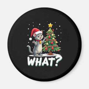Was Lustige Katze Schiebt Weihnachtsbaum Über Katz Magnet