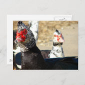 "Was macht das?" Postkarte (Vorne/Hinten)