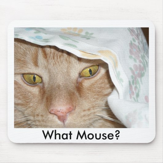 Was Mouse/Orange Tabby Cat Spaß Mousepad (Vorne)