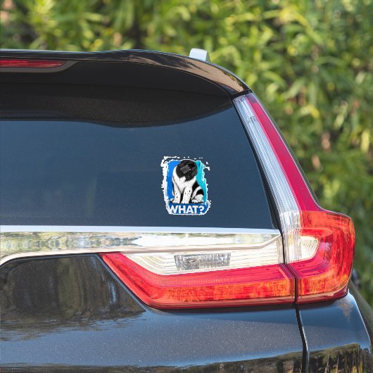 Was Newf Aufkleber (Auto Seite)