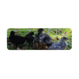 Was oben ist - Huhn-Hintern