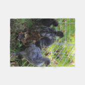 Was oben ist - Huhn-Hintern Fleecedecke (Vorderseite (Horizontal))