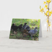 Was oben ist - Huhn-Hintern Karte (Gelbe Blume)