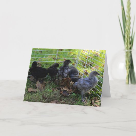 Was oben ist - Huhn-Hintern Karte (Vorderseite)