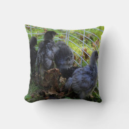 Was oben ist - Huhn-Hintern Kissen