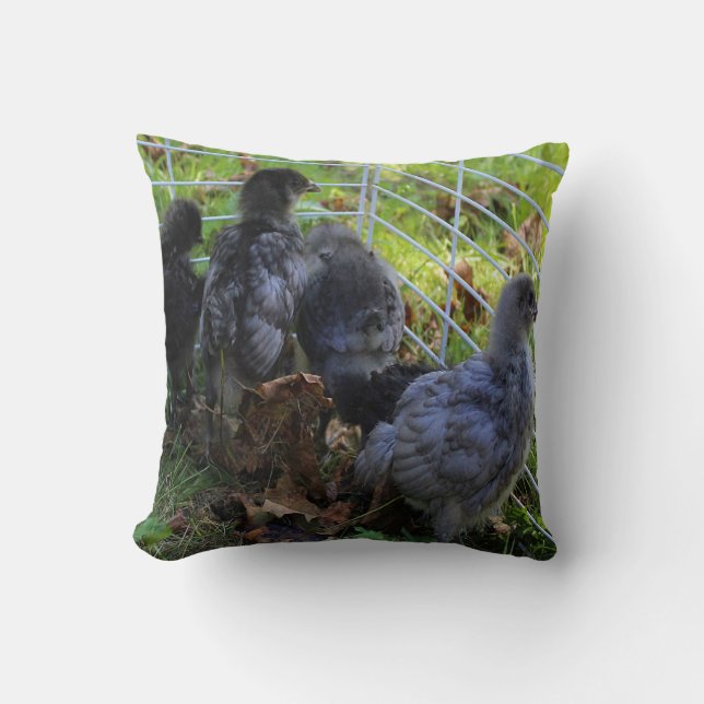 Was oben ist - Huhn-Hintern Kissen (Vorderseite)