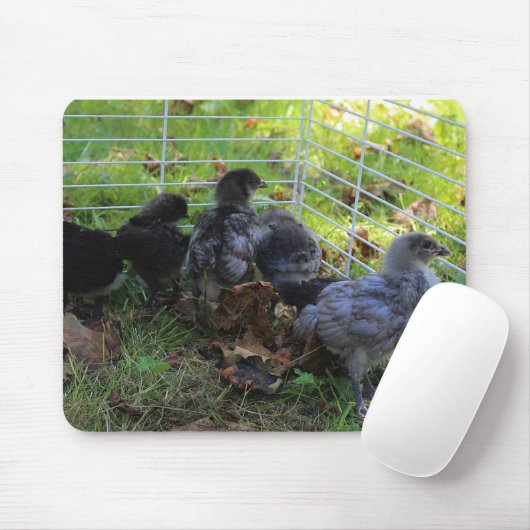 Was oben ist - Huhn-Hintern Mousepad (Mit Mouse)