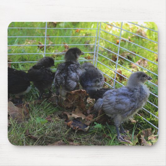 Was oben ist - Huhn-Hintern Mousepad (Vorne)