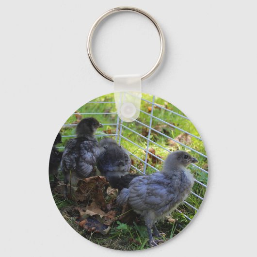 Was oben ist - Huhn-Hintern Schlüsselanhänger (Vorderseite)