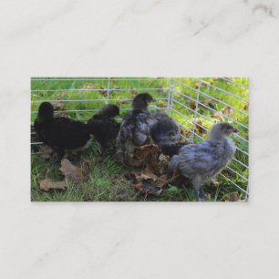 Was oben ist - Huhn-Hintern Visitenkarte