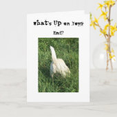 Was oben ist karte (Gelbe Blume)