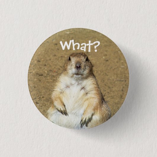 "Was?" Prairie Dog Button (Vorderseite)