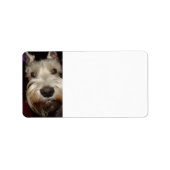 Was schaust du dir an? adressaufkleber (Vorne)