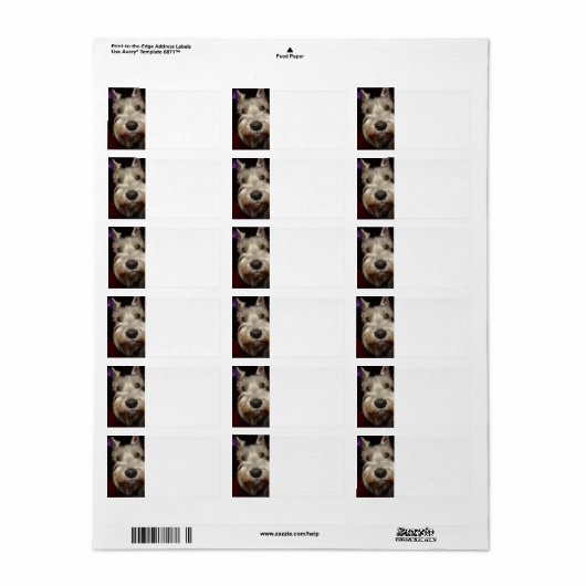 Was schaust du dir an? adressaufkleber (Vorne)