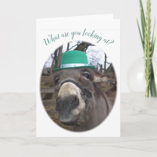 "Was schaust du dir an?" Karte (Vorderseite)