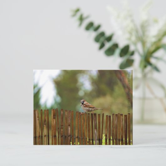 Was schaust du dir an? postkarte (Stehend Vorderseite)