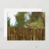 Was schaust du dir an? postkarte (Vorne/Hinten)