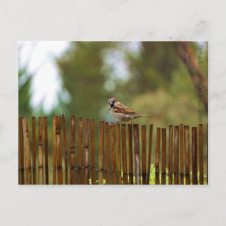 Was schaust du dir an? postkarte