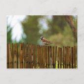 Was schaust du dir an? postkarte (Vorderseite)