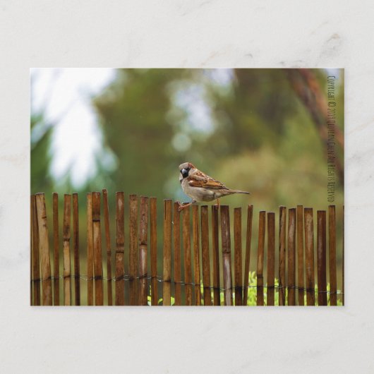 Was schaust du dir an? postkarte (Vorderseite)