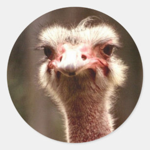 Was schaust du dir an? runder aufkleber