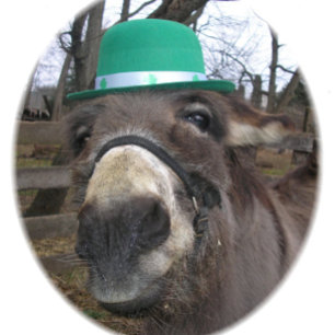 "Was schaust du dir an?" Spielkarten