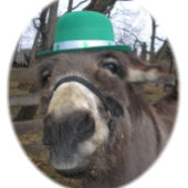 "Was schaust du dir an?" Spielkarten