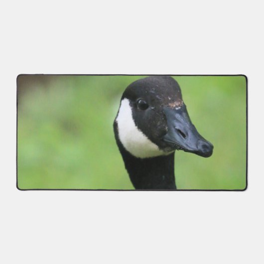 Was Schreibtischunterlage (Vorderseite)