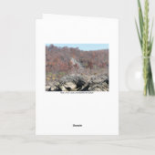 'Was Sie Angelegenheiten. taten. ~ 2 Dankeskarte (Rückseite)